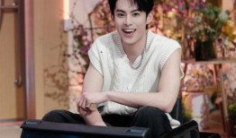 王鹤棣爆料最新消息新闻,揭秘娱乐圈幕后真相