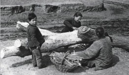 1942的夏天在线观看,烽火岁月里的生死抉择